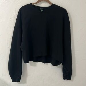 Wild fable cropped pullover
